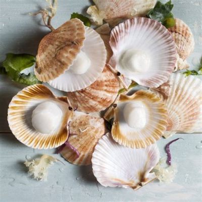  Queen Scallop: Tunnetko pohjan kuningatarta, joka kulkee siivillään merellä?